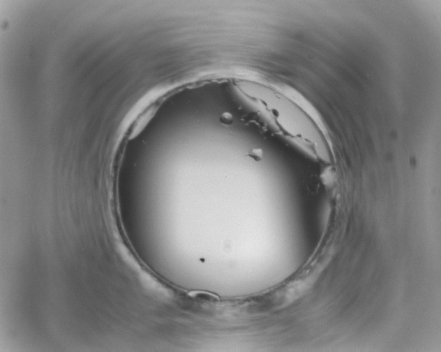 X0000066081005200603241427