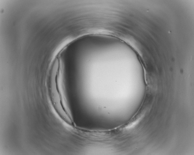 X0000066081007200603241427