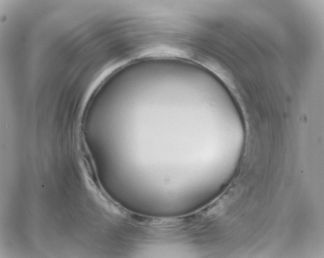 X0000066081008200603241427