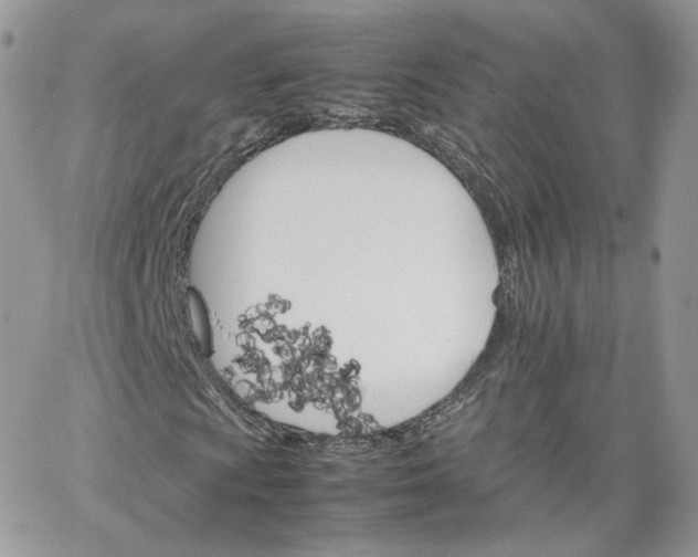 X0000066081009200603241426