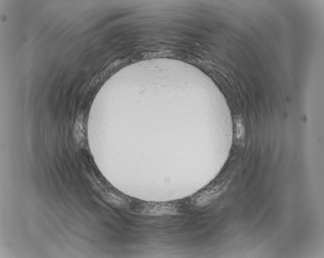 X0000066081011200603241426