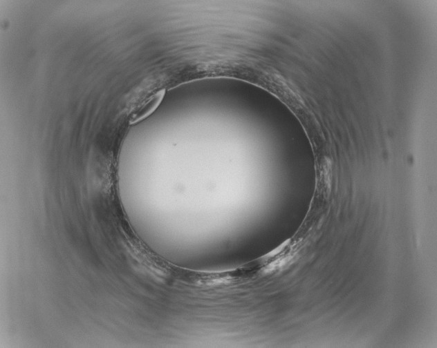 X0000066081012200603241426