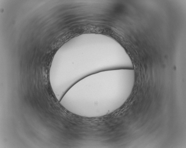 X0000066081013200603241426