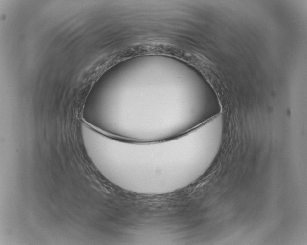 X0000066081014200603241426