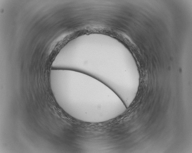 X0000066081016200603241426