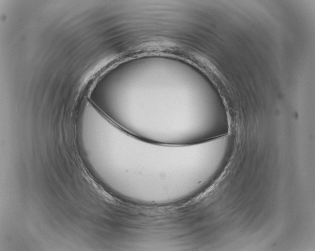 X0000066081018200603241426