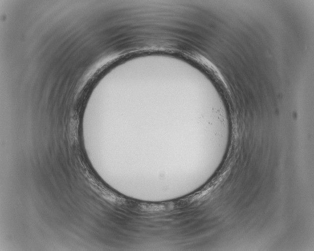 X0000066081019200603241426