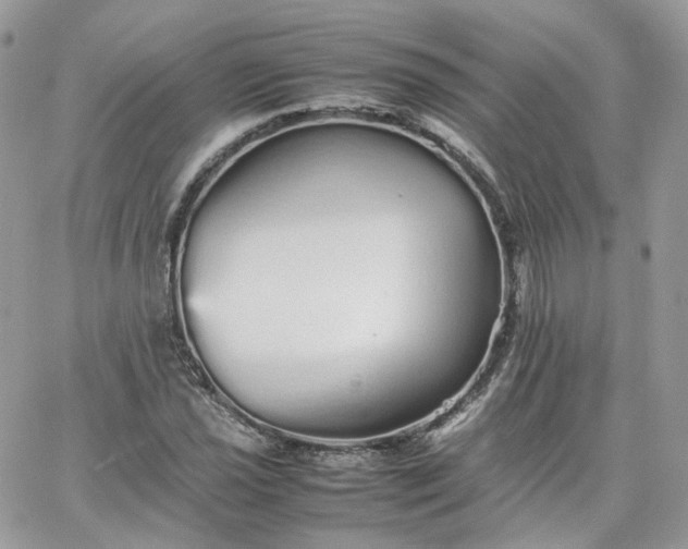 X0000066081021200603241426