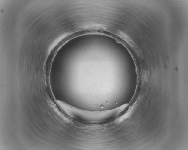 X0000066081022200603241426