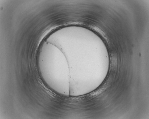 X0000066081023200603241426