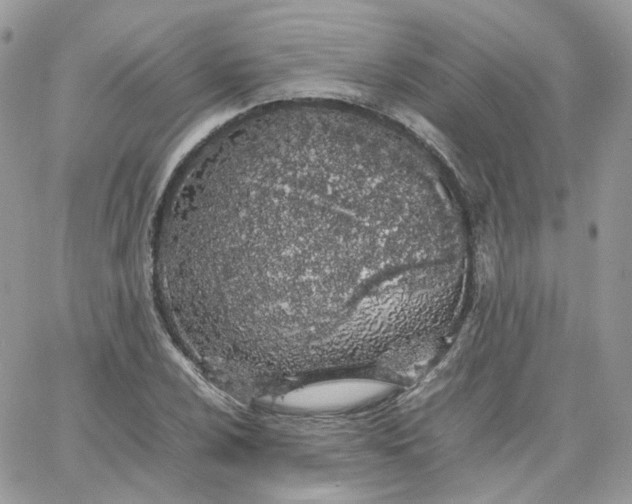 X0000066081024200603241426