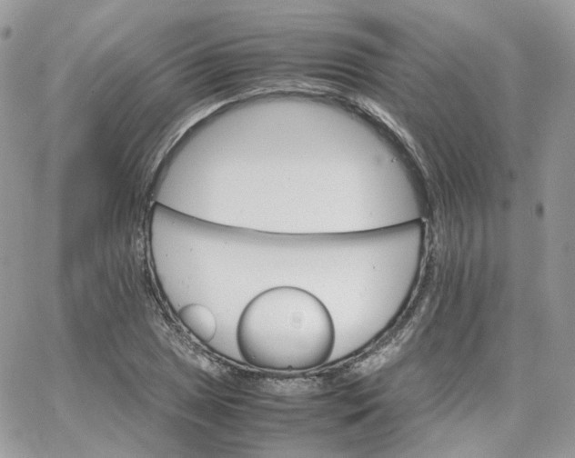 X0000066081025200603241426