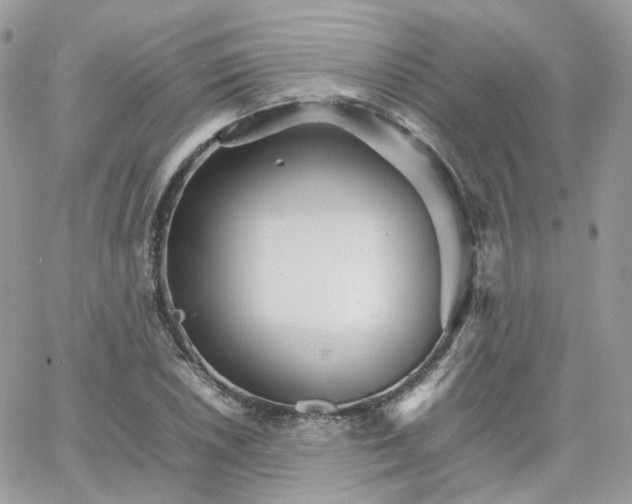 X0000066081026200603241426