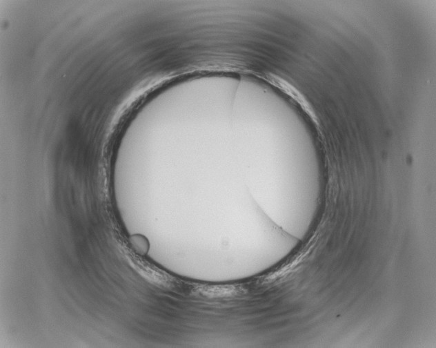 X0000066081027200603241426