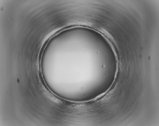 X0000066081028200603241426