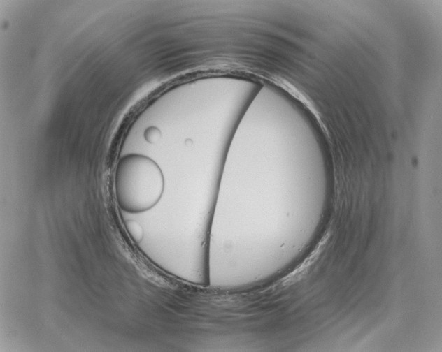 X0000066081029200603241426