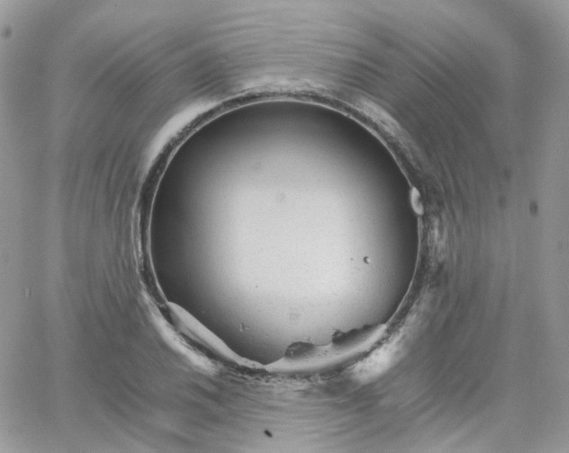 X0000066081030200603241426