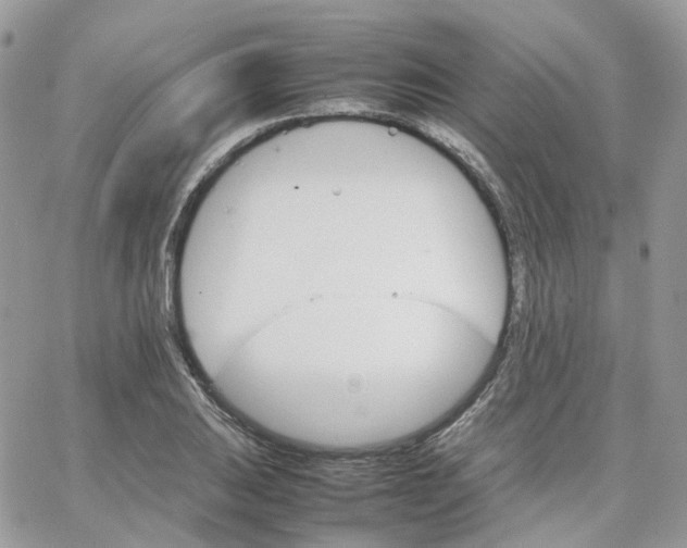 X0000066081031200603241426