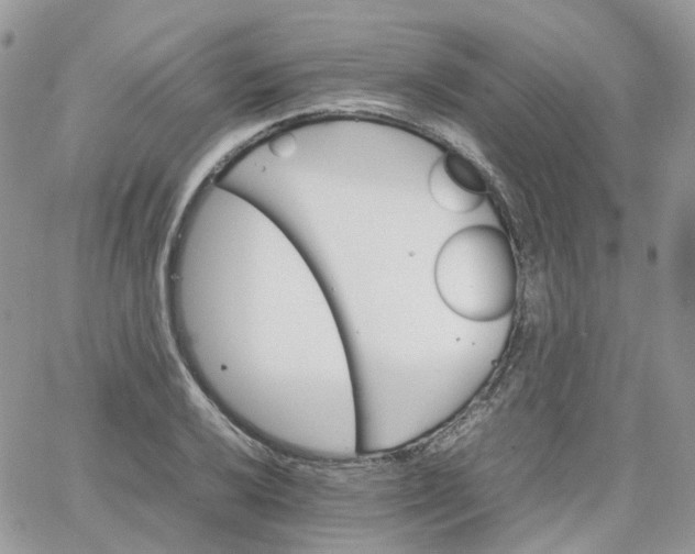 X0000066081032200603241426