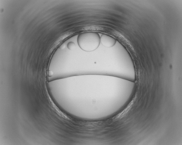 X0000066081033200603241427