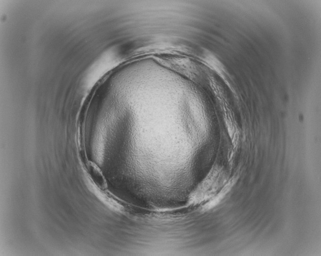 X0000066081034200603241427