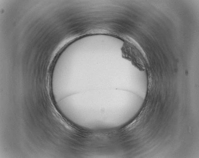 X0000066081035200603241427