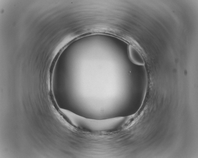 X0000066081036200603241427