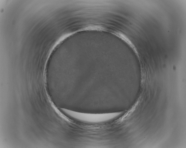 X0000066081037200603241427