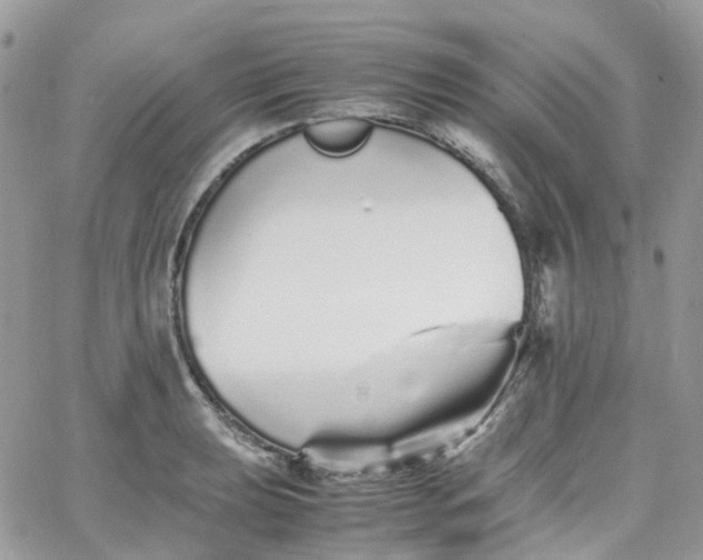 X0000066081039200603241427