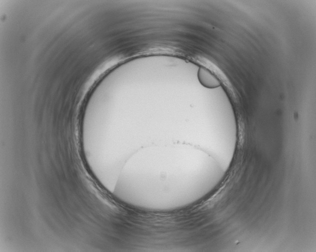 X0000066081043200603241427