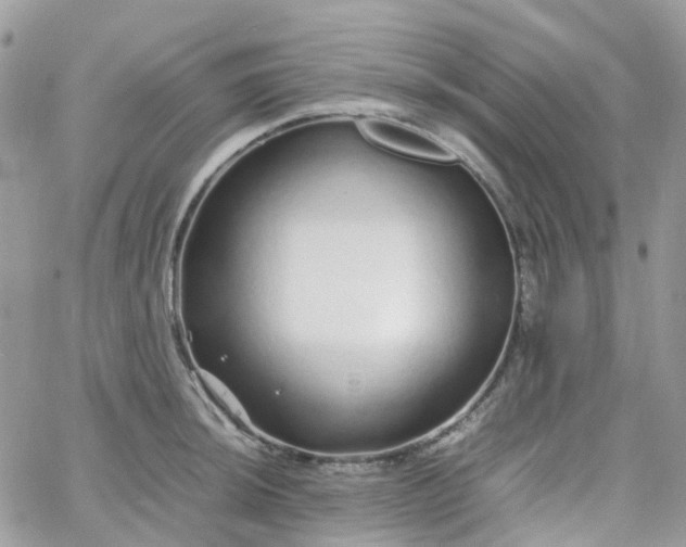 X0000066081044200603241427