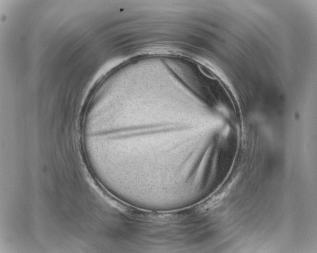 X0000066081045200603241427