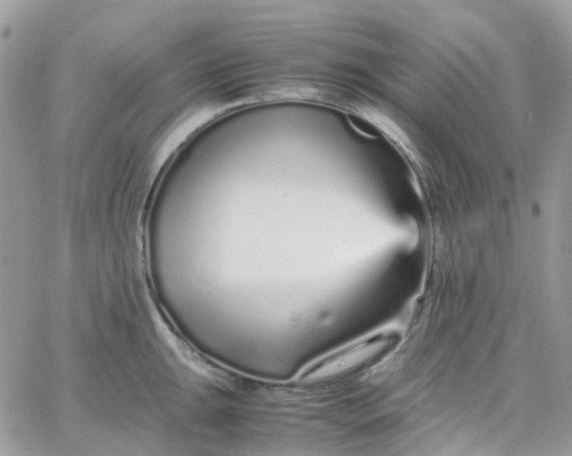 X0000066081047200603241427