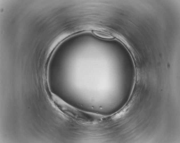 X0000066081048200603241427