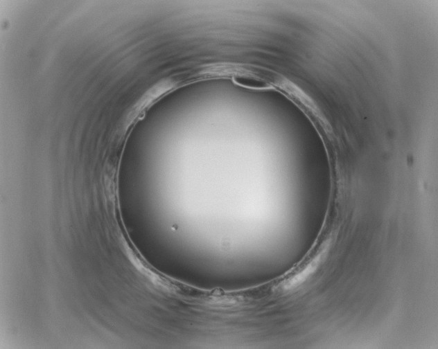 X0000066081049200603241427