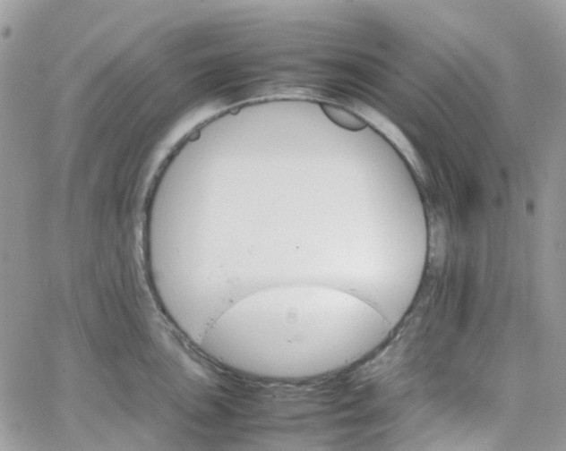 X0000066081051200603241427