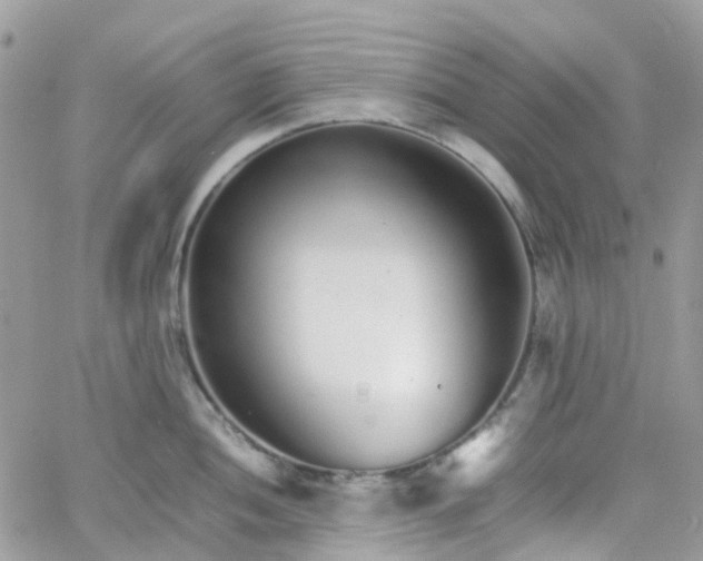 X0000066081052200603241427