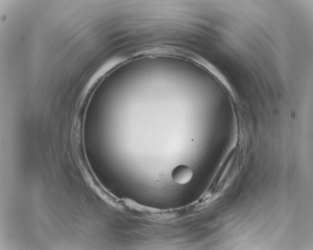 X0000066081053200603241427