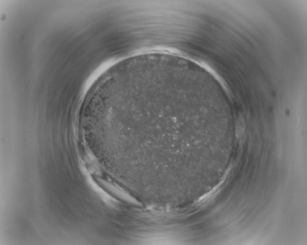 X0000066081054200603241427