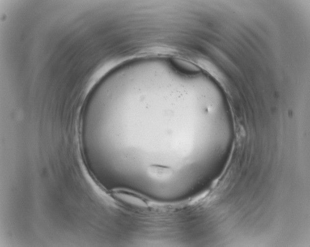 X0000066081055200603241427