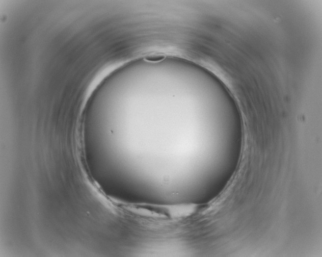 X0000066081056200603241427