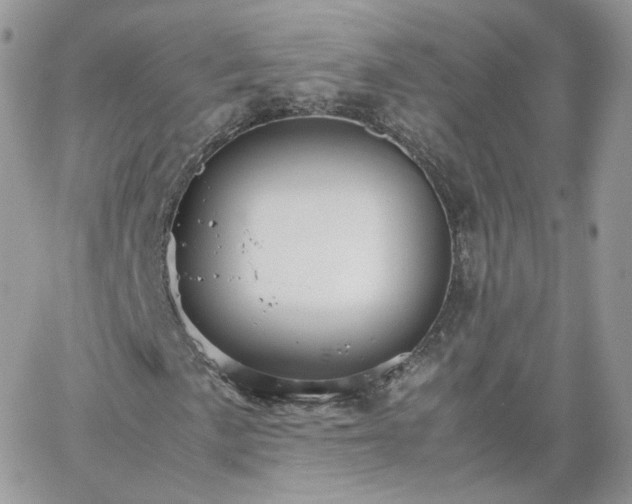 X0000066081057200603241426