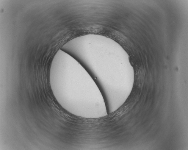 X0000066081058200603241426