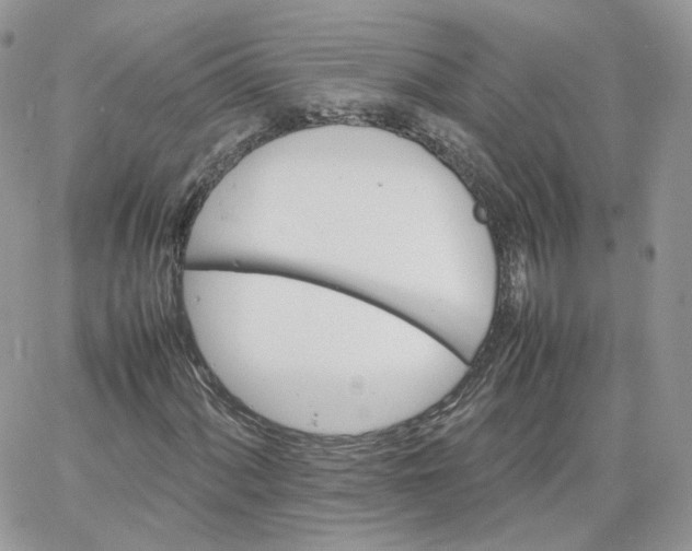 X0000066081060200603241426