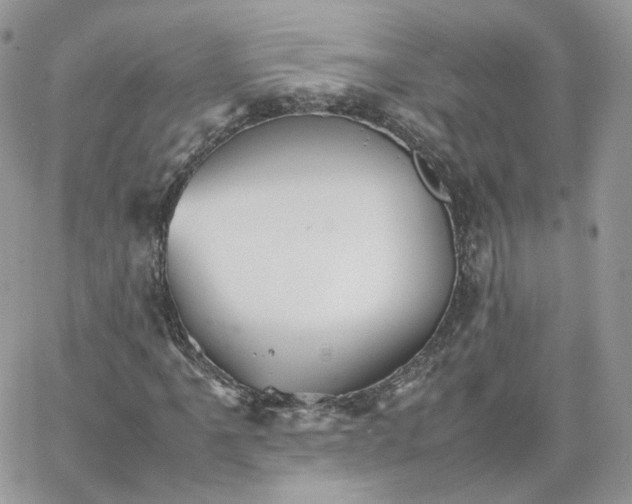 X0000066081061200603241426