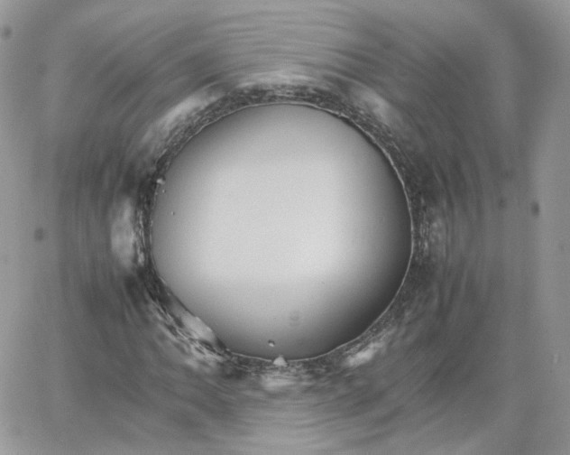 X0000066081062200603241426