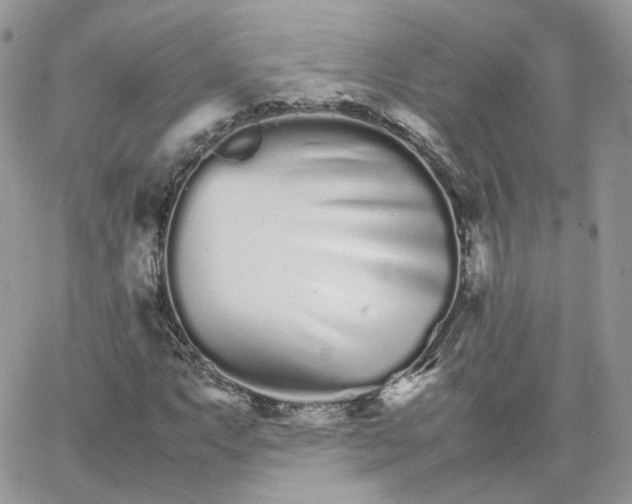 X0000066081063200603241426