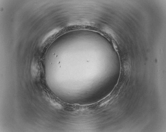 X0000066081064200603241426