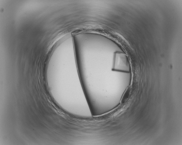 X0000066081065200603241426