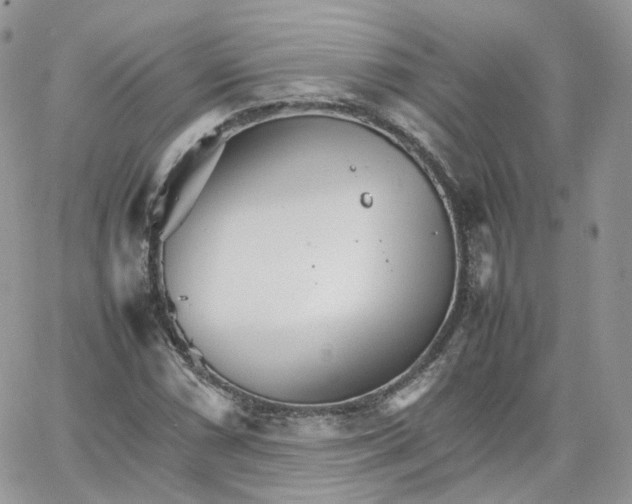 X0000066081066200603241426